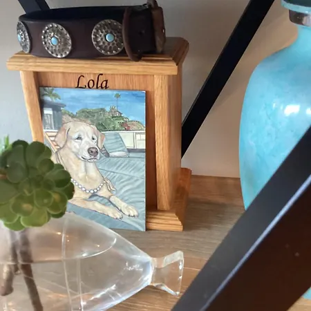 Atlantic View Cahersiveen