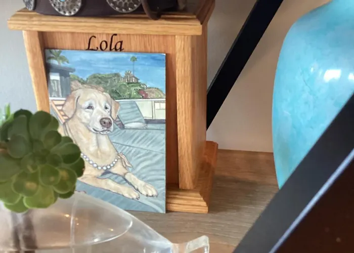 Atlantic View Cahersiveen